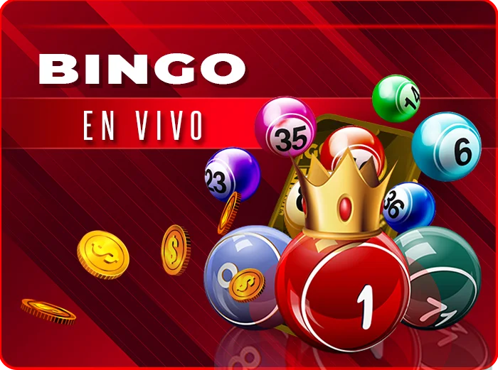 Bingo en vivo